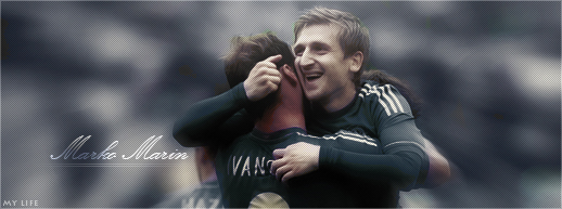 Marko Marin