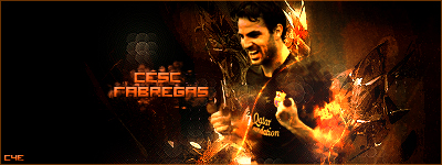 Design > cesc.....robben