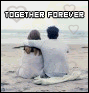 user2858 pic824 1231272449